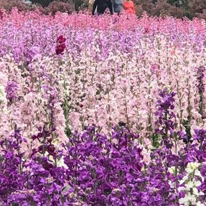 Meet your Posher, Tina